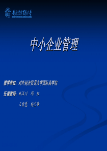 09中小企业信息化战略