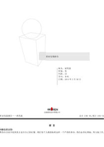 职业发展报告