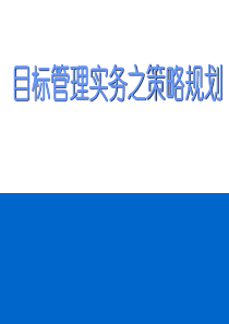 目标管理实务之策略规划