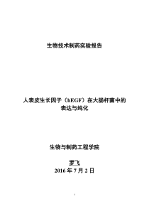 生物技术制药综合实验报告