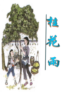 苏教版四年级上册语文《桂花雨》__ppt1234