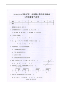 广东省潮州市湘桥区2018-2019学年七年级下学期期末考试数学试题(扫描版)