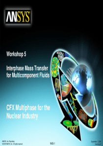 CFX_Multiphase_120_WS05_Interphase_Mass_Transfer_f