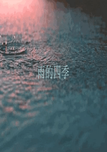 雨的四季PPT课件