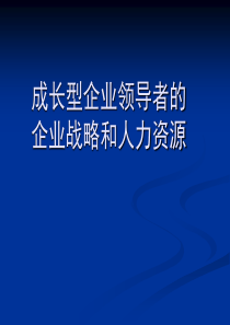 成长型企业领导者的企业战略和人力资源