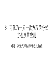 中考复习6   可化为一元一次方程的分式方程及其应用