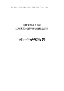 红枣蔬菜农副产品物流配送建设项目可行研究报告