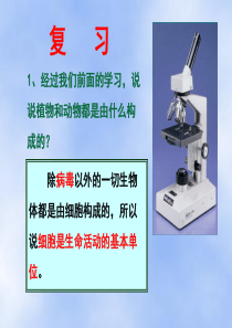 3.2细胞是生命活动的单位(北师大版七年级上)