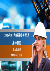 2009年电力能源工作指导意见