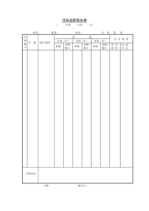 目标追踪报告表