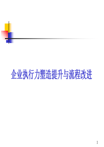 企业执行力塑造提升与流程改进