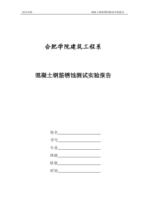 实验报告--混凝土钢筋锈蚀测试实验报告