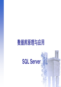 SQL入门教程初学