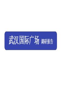 武汉国际广场调研报告