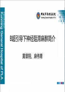 B超引导下神经阻滞麻醉简介(解放军昆明总院-黄章翔)