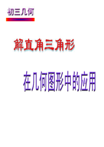 锐角三角函数与解直角三角形复习课件 (1)