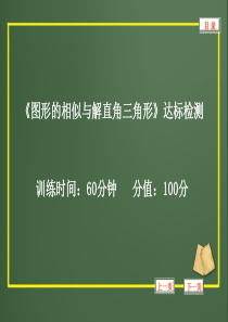 2013中考数学复习精品课件《图形的相似与解直角三角形》达标检测