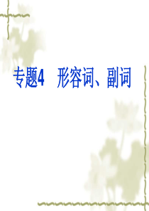 2011英语中考复习专题4-形容词、副词