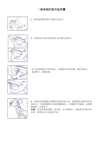 一体耳标打标方法步骤