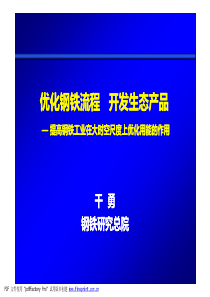 优化钢铁流程XXXX1109__干勇