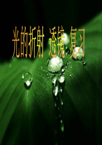 《光的折射-透镜》复习课件