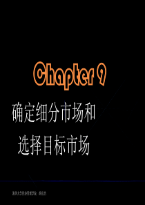 第九章确定细分市场和选择目标市场(市场营销-清华大学