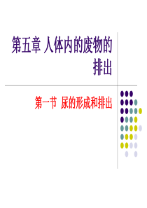 【备课资料】七年级生物下册第四单元第五章 人体内的废物的排出 复习课件(15PPT