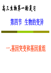 高三生物一轮复习基因突变和染色体变异课件