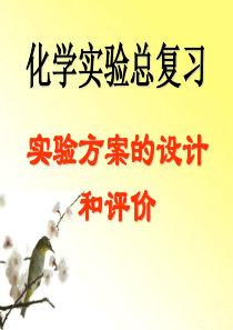 高考化学总复习一轮精品课件：《实验方案的设计和评价》