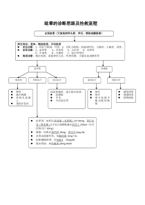 13、眩晕的诊断思路及抢救流程