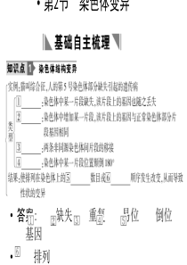 2011高考生物一轮复习课件：必修2 第5章 基因突变及其他变异 第2节  染色体变异