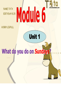 Module6 Unit1 what do you do on Sundays