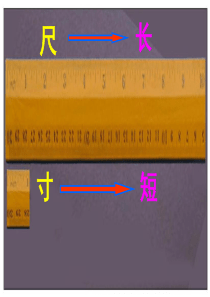 人教版四年级语文上册28.尺有所短寸有所长(精品课件)ppt