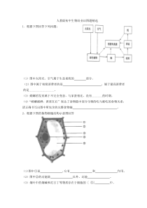 人教版初中生物识图专题(整理版)