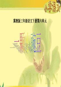 《一颗小豌豆》课件(西师大版小学语文四年级上册课件)