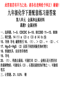 九年级化学下册配套练习册答案