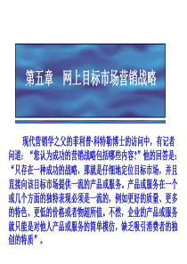 第五章网络目标市场