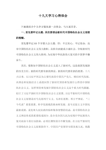 十九大学习心得体会3000字