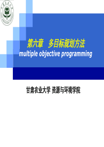 第六章多目标规划方法