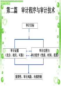 第六章审计目标