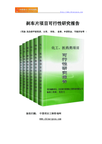 刹车片项目可行性研究报告范文格式(专业经典案例)