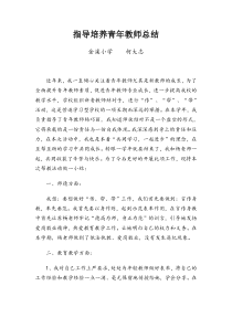 指导培养青年教师总结