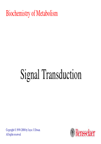 Signal Transduction-信号传导入门