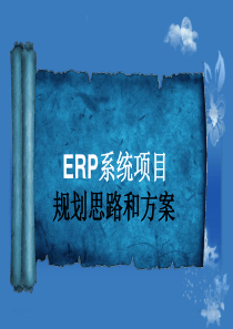 ERP规划思路和方案