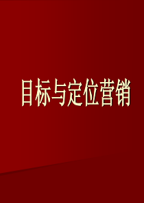 营销--目标与定位营销