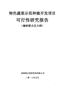 特色蔬菜种植开发项目可行性报告设计方案