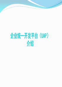 企业级统一开发平台解决方案