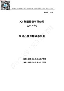 页2019年某公司58个现场处置方案汇编手册