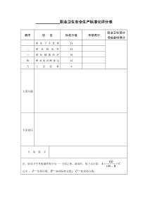 职业卫生安全生产标准化评分表