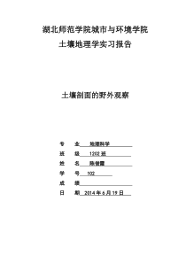 土壤剖面实验报告